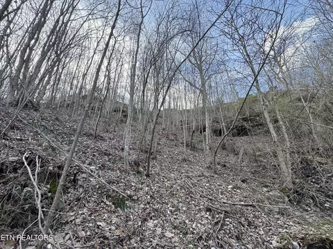 Grape Rough Rd, Oneida, TN 37841 photo 10