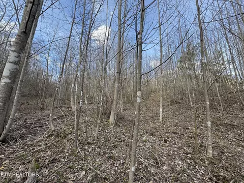 Grape Rough Rd, Oneida, TN 37841 photo 11