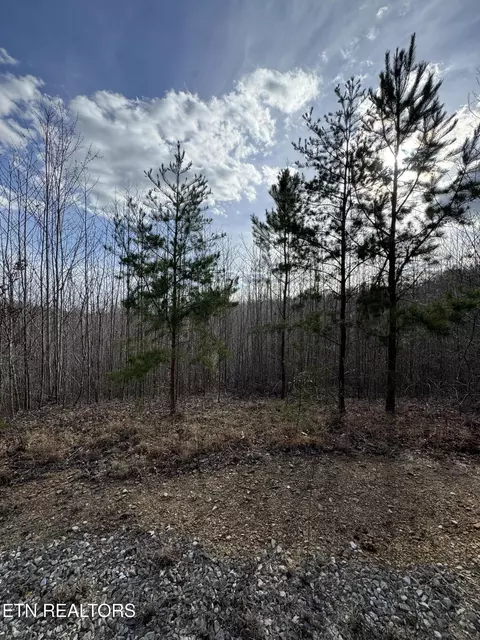 Grape Rough Rd, Oneida, TN 37841 photo 4
