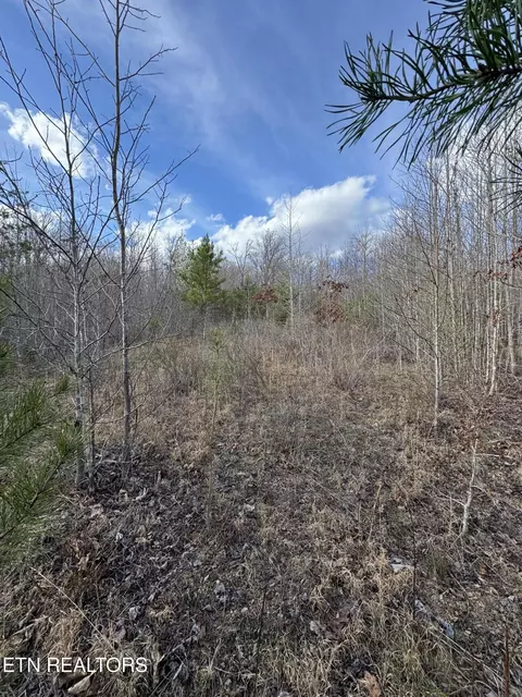 Grape Rough Rd, Oneida, TN 37841 photo 17