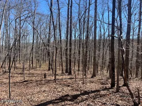 lot40 Pioneer Trail Ln, Crawford, TN 38554