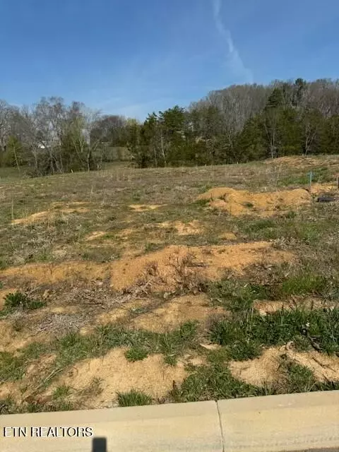 1814 Melton Meadows Dr, Maryville, TN 37803