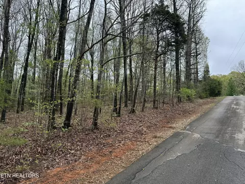 Taywell Drive, Madisonville, TN 37354