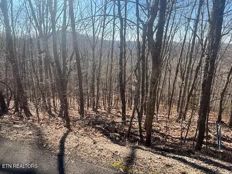 lot207 Laurel Mtn Road Rd, Madisonville, TN 37354