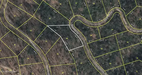 Sycamore St, Sevierville, TN 37876