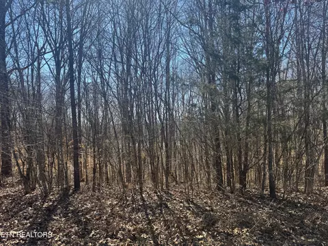 lot71 Saddle Ridge Dr, Speedwell, TN 37870