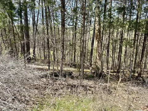 Lake Lane Lane, New Tazewell, TN 37825