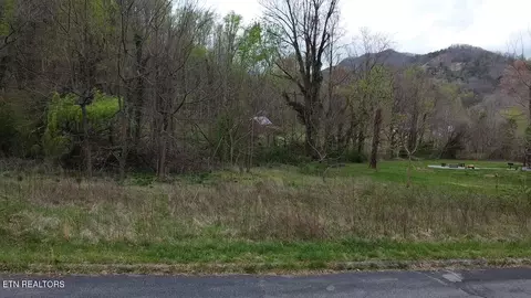 lot10 Thomas Headrick Rd, Sevierville, TN 37862