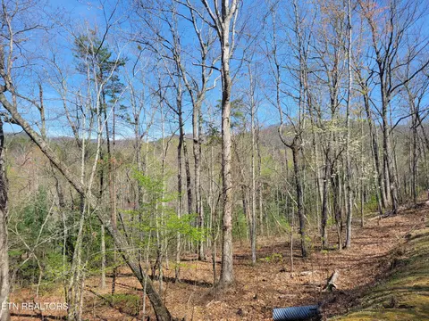 lot10 Black Oak Dr, Sevierville, TN 37876