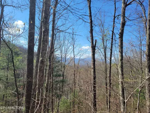 lot4 Alpine Dr, Sevierville, TN 37876