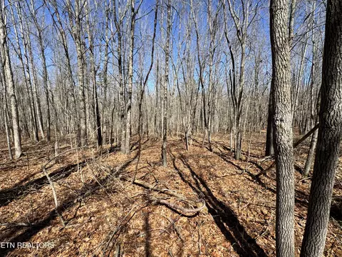 Veterans Lookout, Wilder, TN 38589