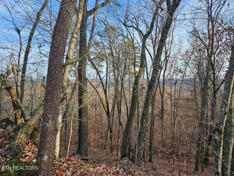 lot25 Countryside Dr, Evensville, TN 37332