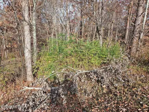 lot S 2930 Smyrna Hts, Evensville, TN 37332