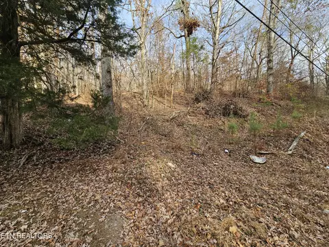 lot7 Smyrna Rd, Evensville, TN 37332