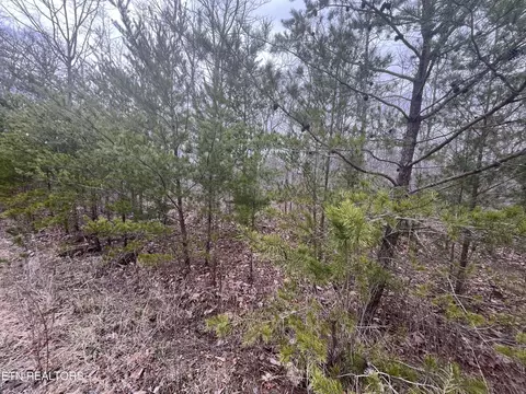 0 Maple Ln, Pikeville, TN 37367