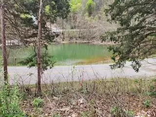 Flat Hollow Rd, Speedwell, TN 37870