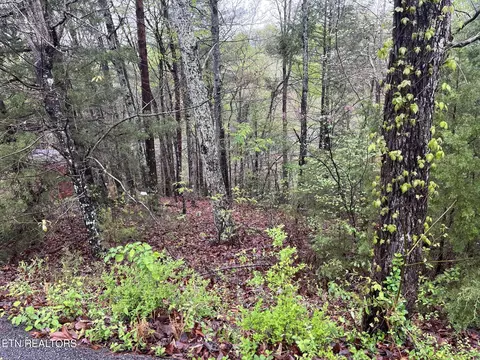 lot1 Mountain View Dr, Pigeon Forge, TN 37863