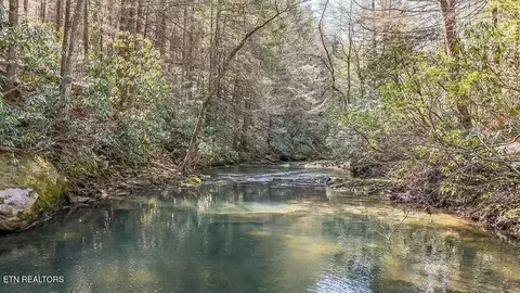 460 Twin Bridge Rd, Deer Lodge, TN 37726