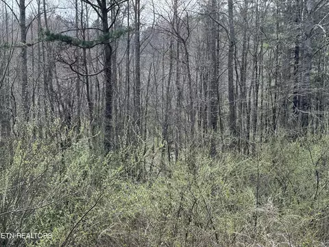 1953 Airport Rd, Oakdale, TN 37829