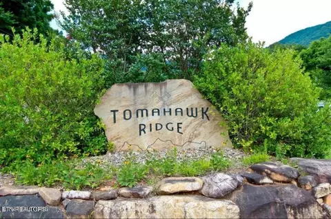 lot1 2 Tomahawk Dr, Cosby, TN 37722