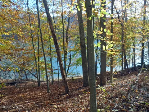 lot348 Lick Branch Rd, New Tazewell, TN 37825