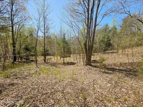 170 Bluff View Rd, New Tazewell, TN 37825