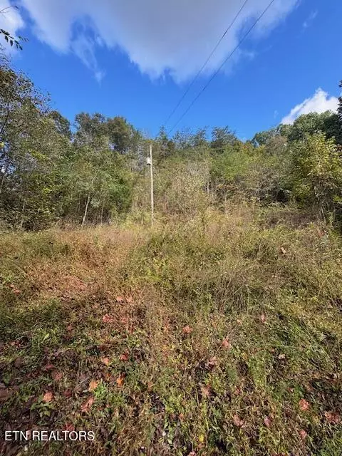 Chapman Hwy, Seymour, TN 37865