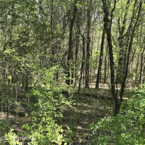 lot68 King Hill Rd, Spring City, TN 37381