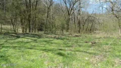 lot1 Baugh Hollow Rd, Gainesboro, TN 38562
