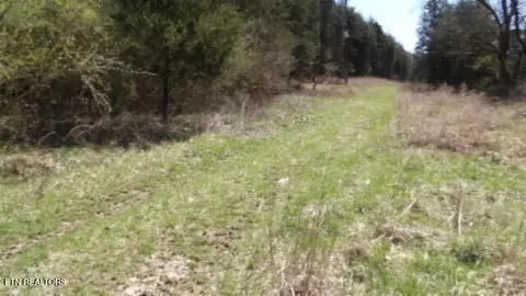 lot6 Baugh Hollow Rd, Gainesboro, TN 38562