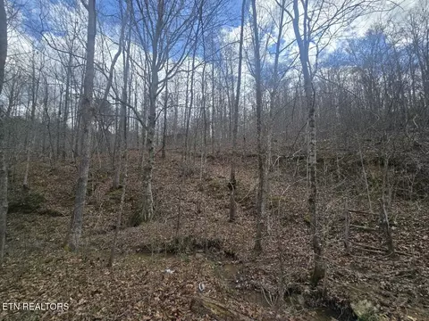 0 Straight Fork Rd, Huntsville, TN 37756