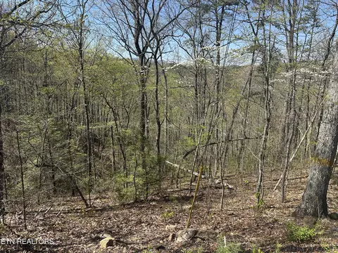 1532 Mountain Dreams Way, Pigeon Forge, TN 37862