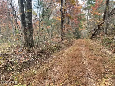 Gunter Place, Sunbright, TN 37872