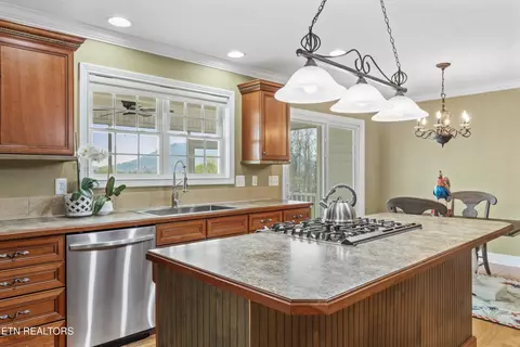 7514 Dan Mcbee Rd, Corryton, TN 37721 photo 16