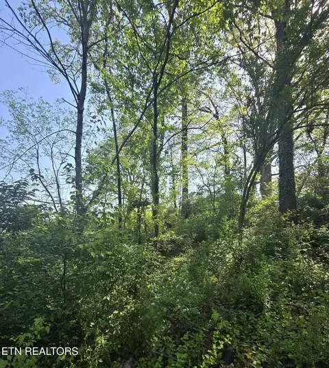 Hwy 370 Lots 3&4, Luttrell, TN 37779 photo 7