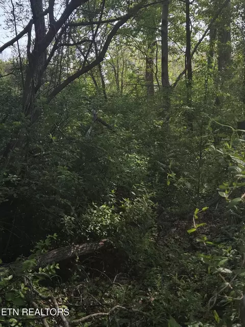 Hwy 370 Lots 3&4, Luttrell, TN 37779 photo 4