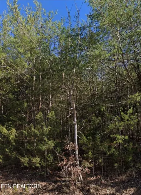 Hwy 370 Lots 3&4, Luttrell, TN 37779 photo 3