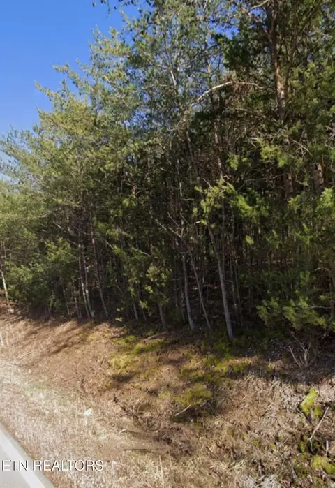 Hwy 370 Lots 3&4, Luttrell, TN 37779 photo 5