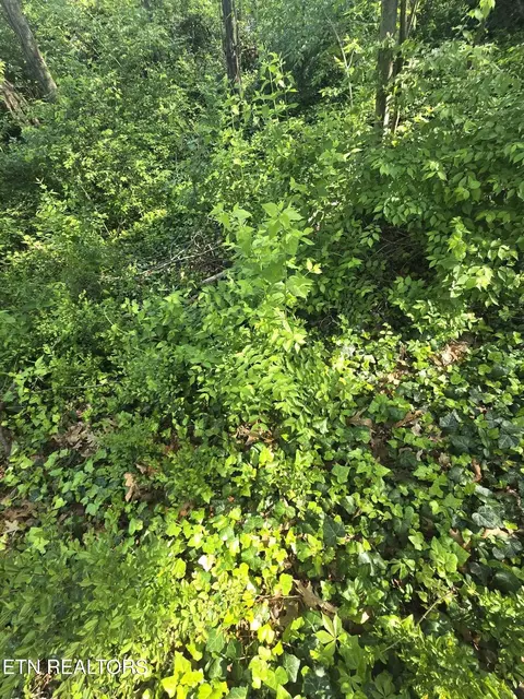 Hwy 370 Lots 3&4, Luttrell, TN 37779 photo 6