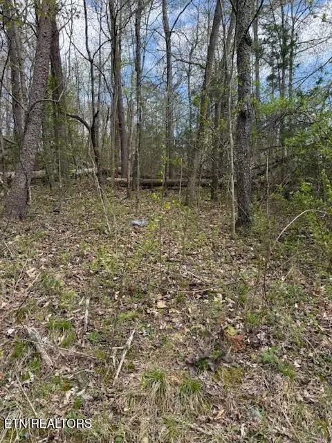 Clear Springs Rd, Harriman, TN 37748