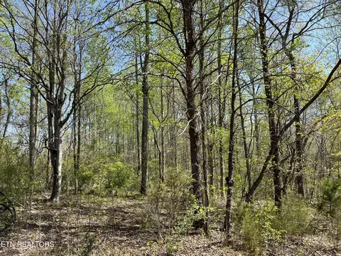 1 01 Ac Fairview Rd, Tellico Plains, TN 37385