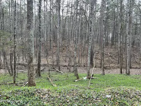 Butler Road Lot 4, Decatur, TN 37322