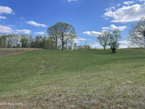 lot4 Laura Boling Loop Rd, Strawberry Plains, TN 37871