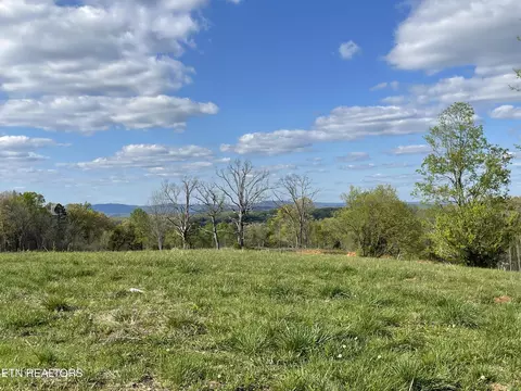lot6 Laura Boling Loop Rd, Strawberry Plains, TN 37871