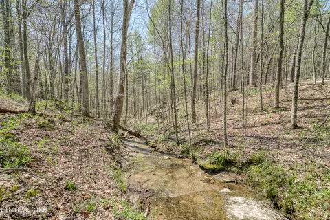 7217 Coleman Cir, Baxter, TN 38544 photo 37