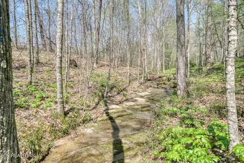 7217 Coleman Cir, Baxter, TN 38544 photo 38
