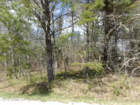 8 10 Boanna Cir, Crossville, TN 38572