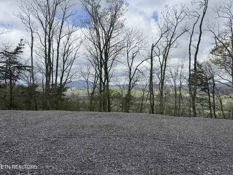3 93 Acres Green Forest Rd, Cosby, TN 37722