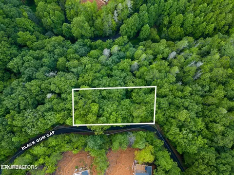 Black Gum Gap Rd, Gatlinburg, TN 37738