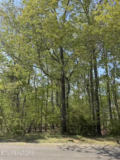 443 Kahite Trl, Vonore, TN 37885